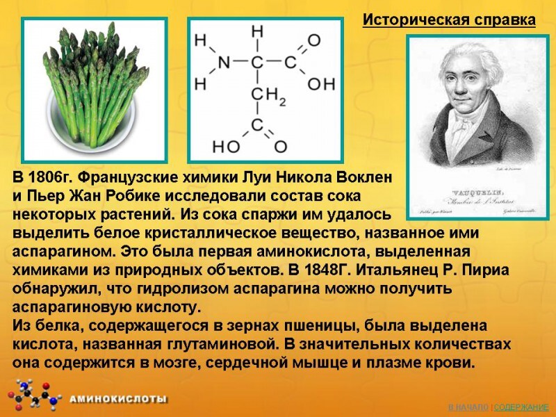 Презентация по химии аминокислоты