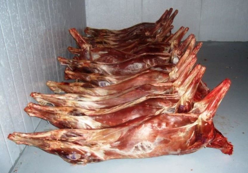 Мясо Туши Фото