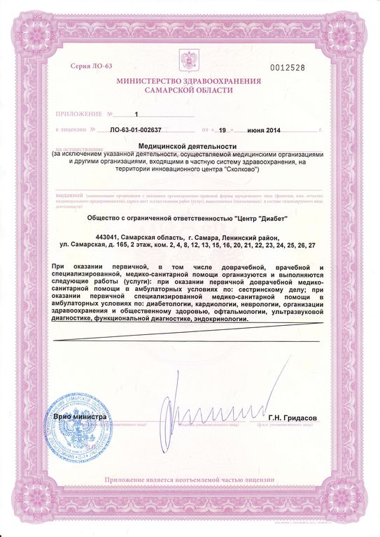 Образец лицензии на медицинскую деятельность
