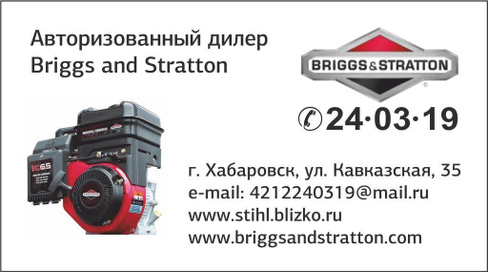 Деталировка двигателя briggs stratton