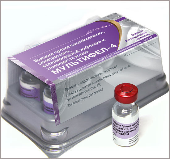 Вакцинация кошки вакциной Мультифел- 4 в клинике 1 доза (по ...