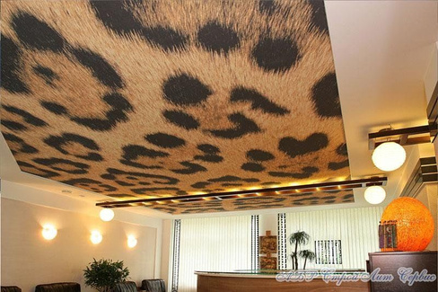 Натяжной потолок с фотопечатью Леопард