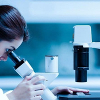 Анализ: Гистологическое исследование биоптатов органов и тканей