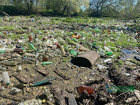 Расчистка территории от мусора