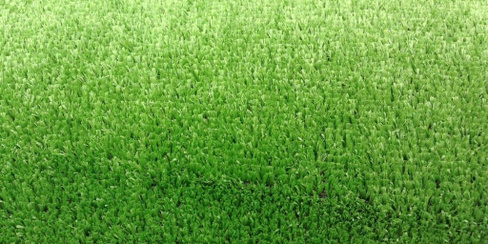 Искусственная трава Роял Тафт Grass 6