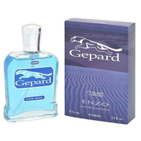 Positive Parfum men (alain Aregon) Gepard - Enzo Туалетная вода 95 мл. Art Positive