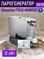 Парогенераторы для хамама и турецкой бани Steamtec TOLO MOMENT - 12 кВт/ Cерия PLATINUM