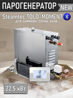 Парогенераторы для хамама и турецкой бани Steamtec TOLO MOMENT - 22,5 кВт/ Cерия PLATINUM