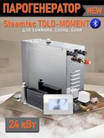 Парогенераторы для хамама и турецкой бани Steamtec TOLO MOMENT - 24 кВт/ Серия PLATINUM