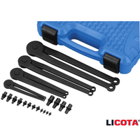Набор ключей штифтовых регулируемых "LICOTA" 1,5-12мм 20 предм.