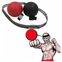 Набор мячей для отработки ударов Fight Ball Double - Griopboard